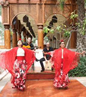 Flamenco Art (Espectáculos de flamenco)