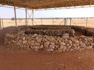 carpa Mleiha arqueología español enespanol (6)