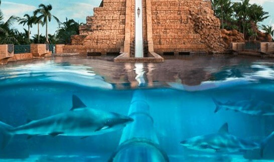 10 parques acuáticos para visitar en EAU
